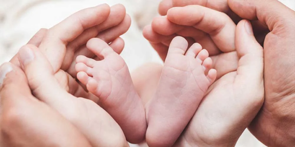 BB Life Surrogacy - Egg Donation