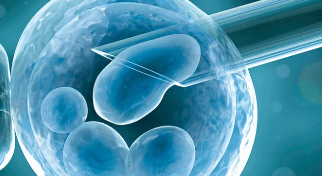 BB Life Surrogacy - How to Do Egg Donation?