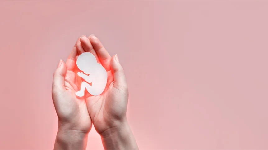 BB Life Surrogacy - How to Do Embryo Donation?
