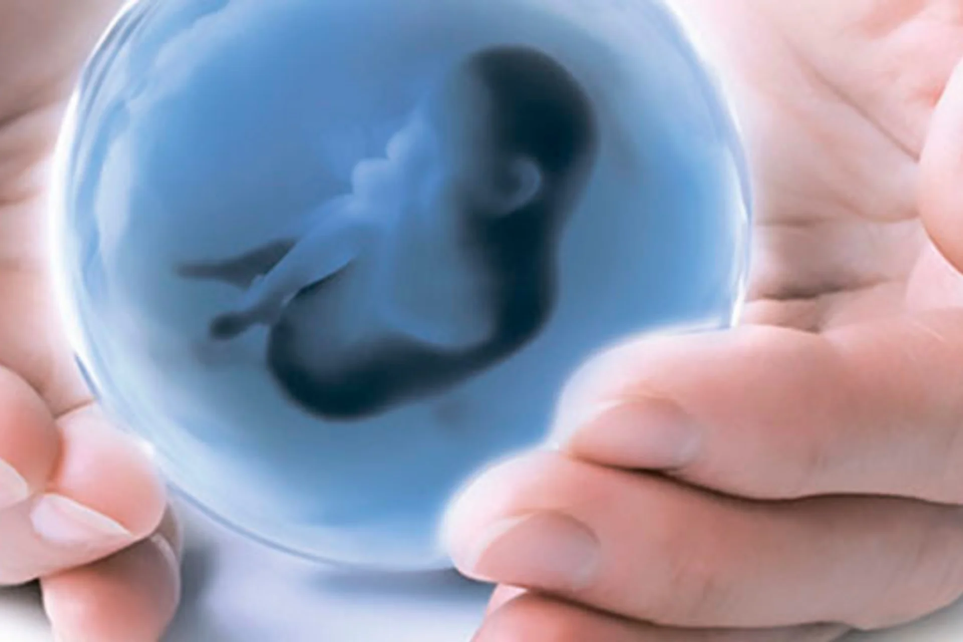 BB Life Surrogacy - Embryo Donation
