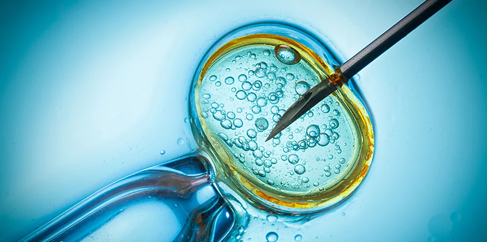 BB Life Surrogacy - PGT/GENETIC DIAGNOSIS