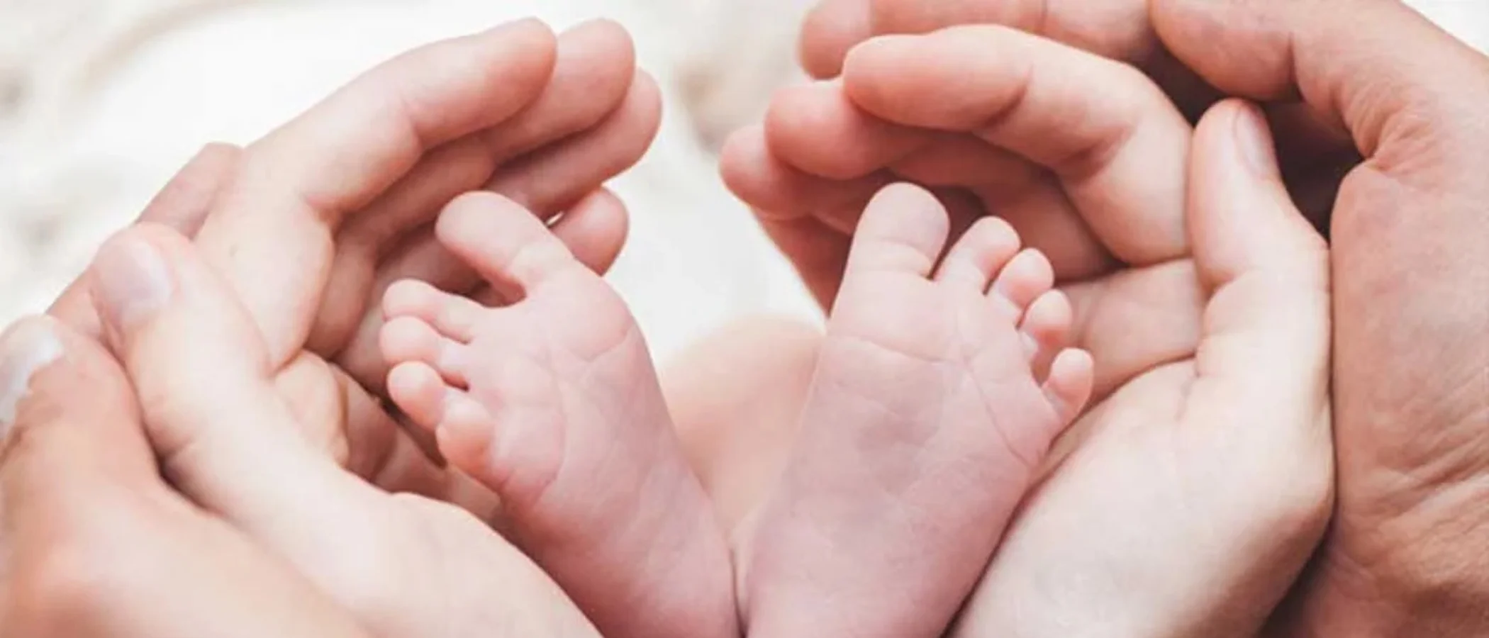 BB Life Surrogacy Services - Egg Donation