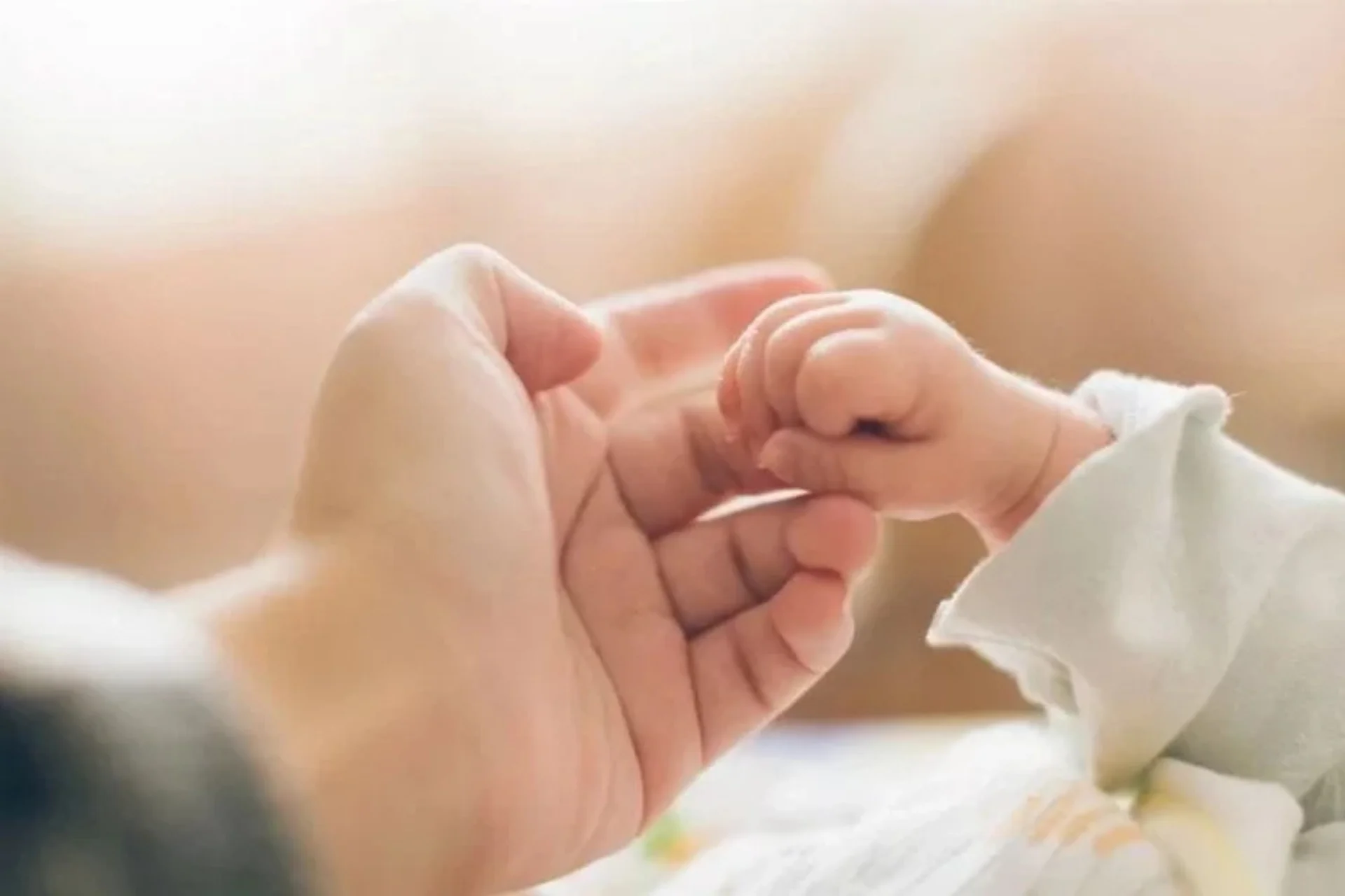 Surrogacy Application