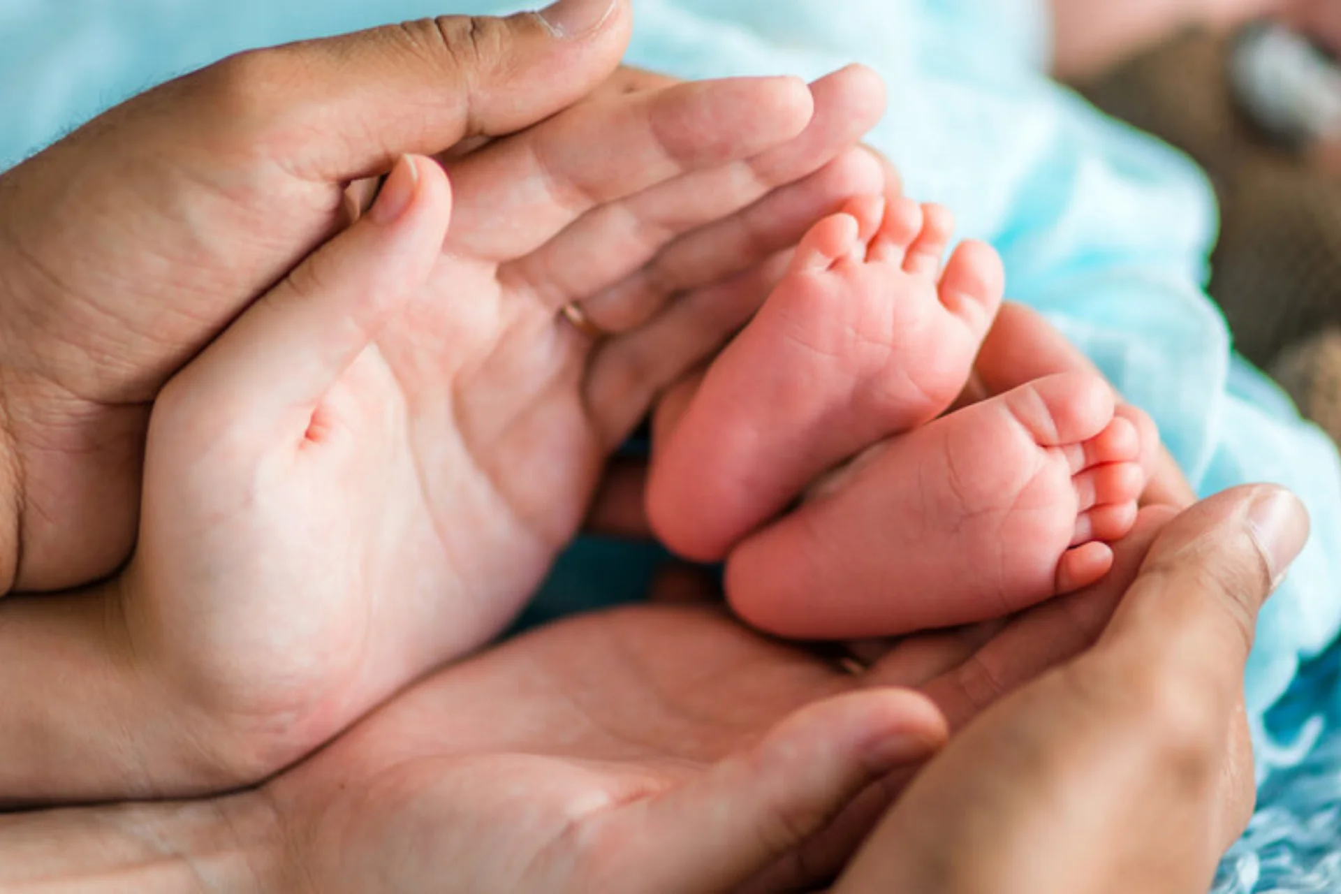 Your Path to Parenthood Begins Here