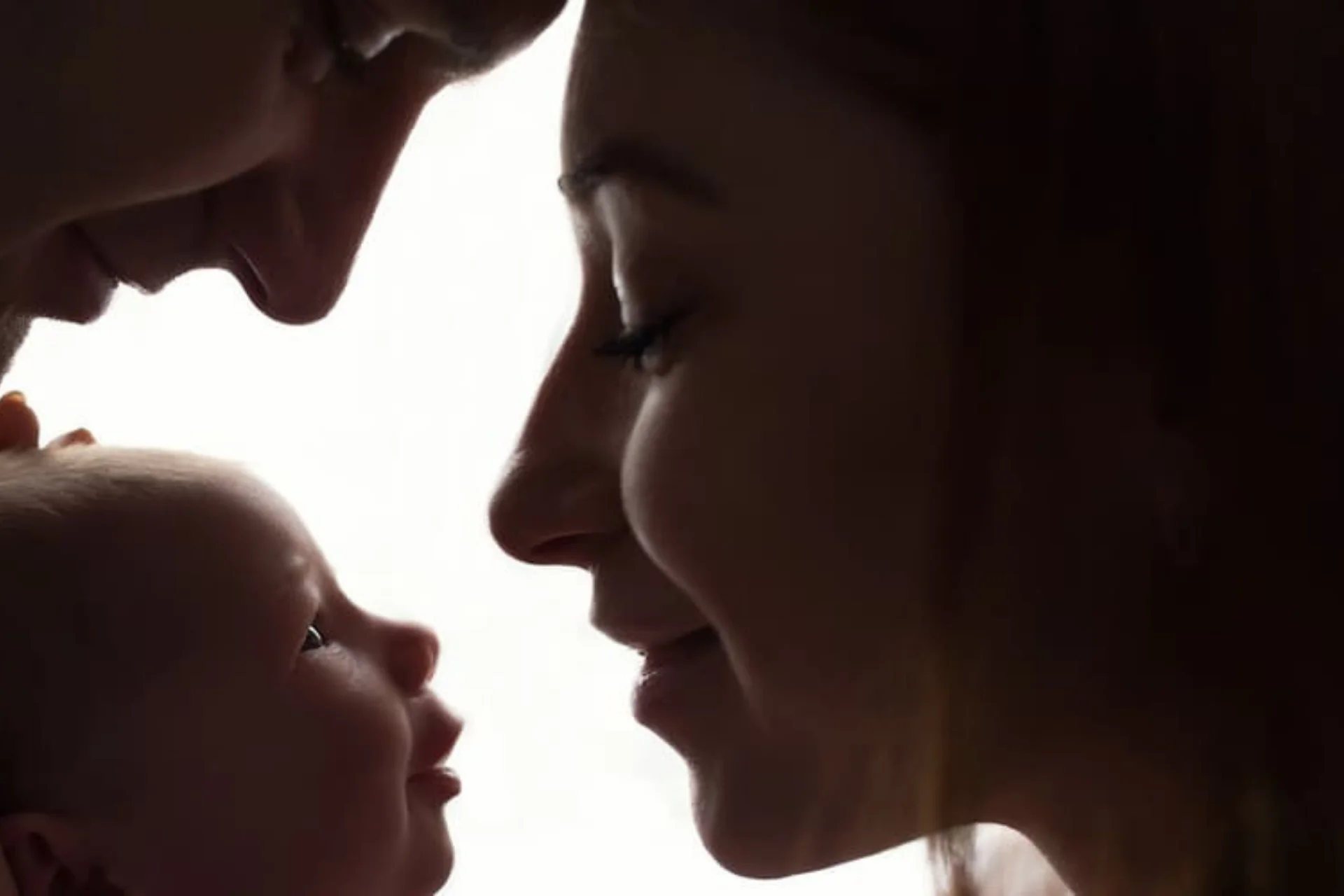 Your Path to Parenthood